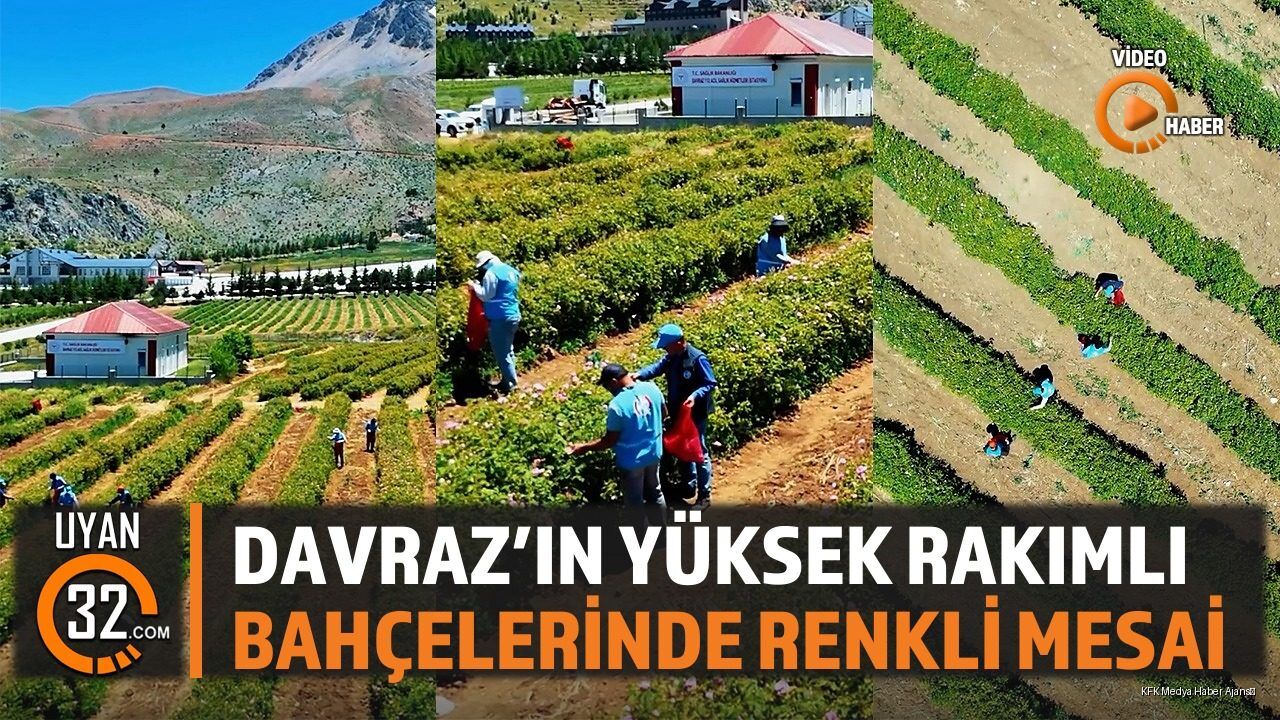 Davraz'ın Yüksek Rakımlı Bahçelerinde Renkli Mesai