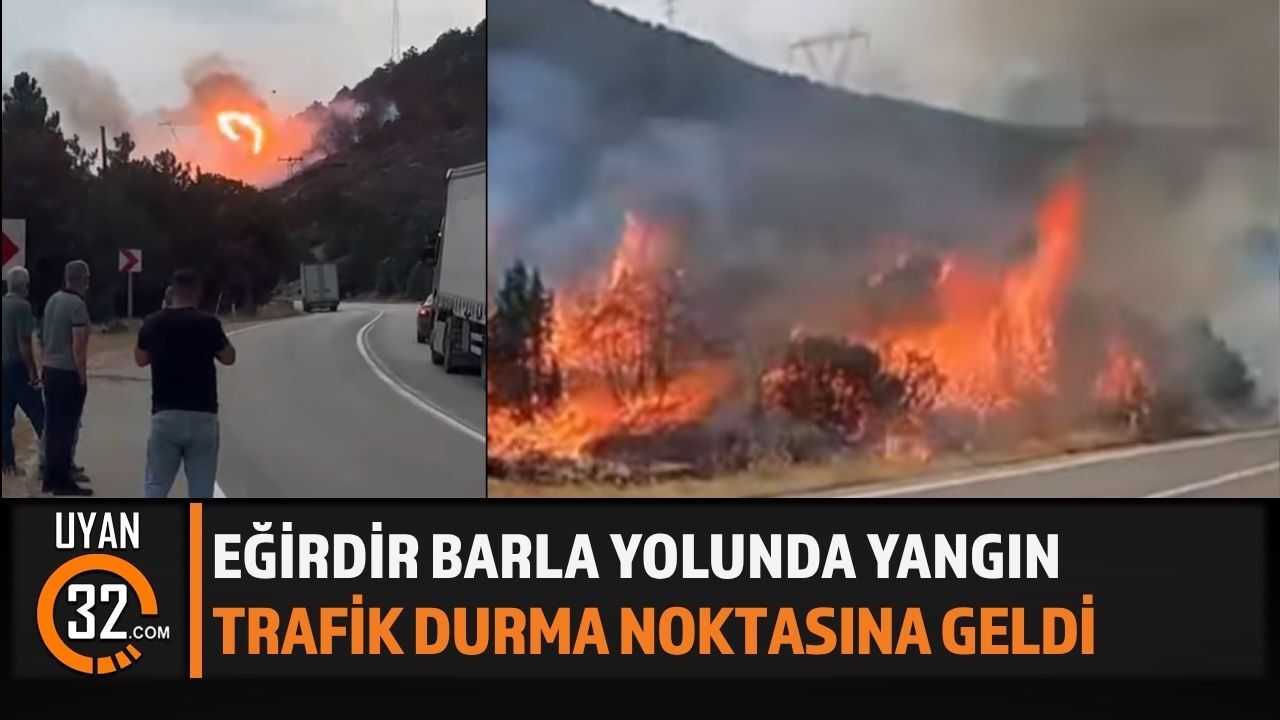 Eğirdir-Barla Yolunda Yangın Paniği!