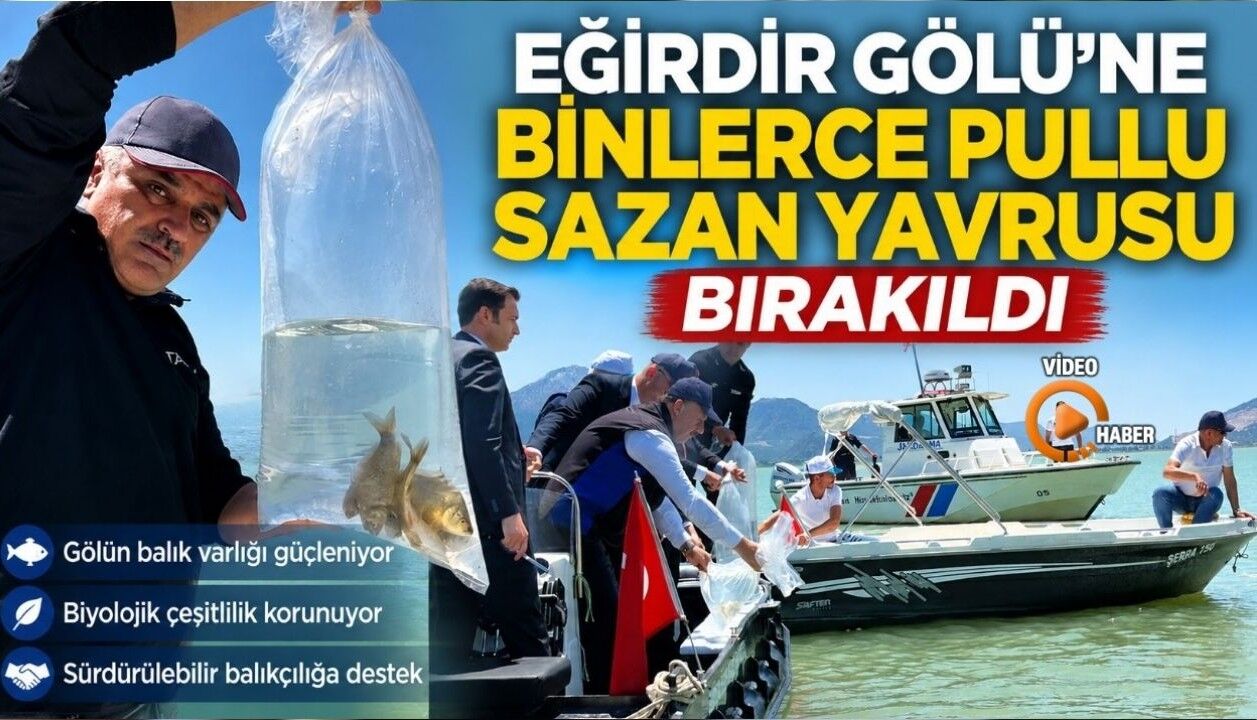 Eğirdir Gölü'ne Binlerce Pullu Sazan Yavrusu Bırakıldı