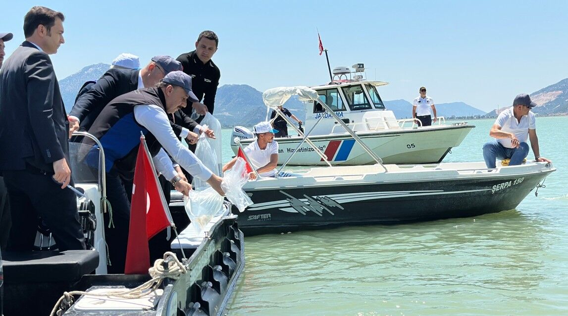 Eğirdir Gölü'ne Binlerce Pullu Sazan Yavrusu Bırakıldı 3