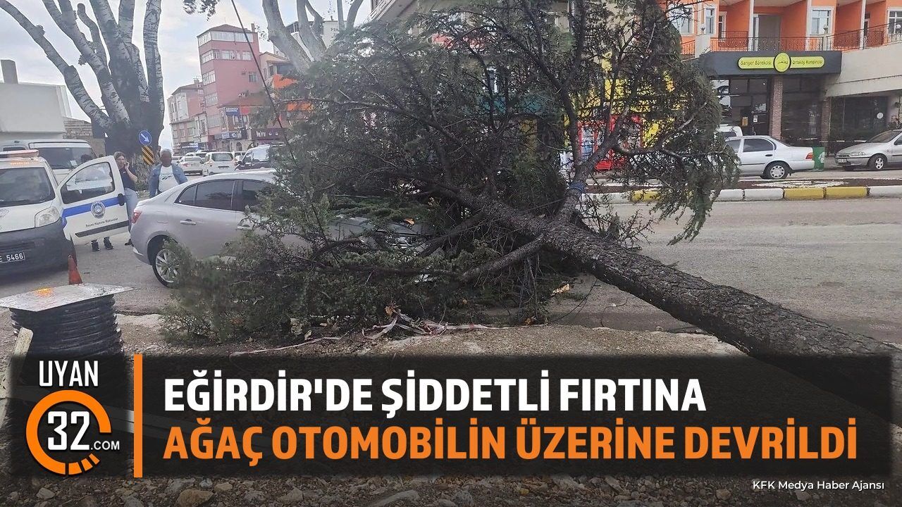 Eğirdir'de Fırtına Ağacı Yerinden Söktü: Otomobilde Hasar Var
