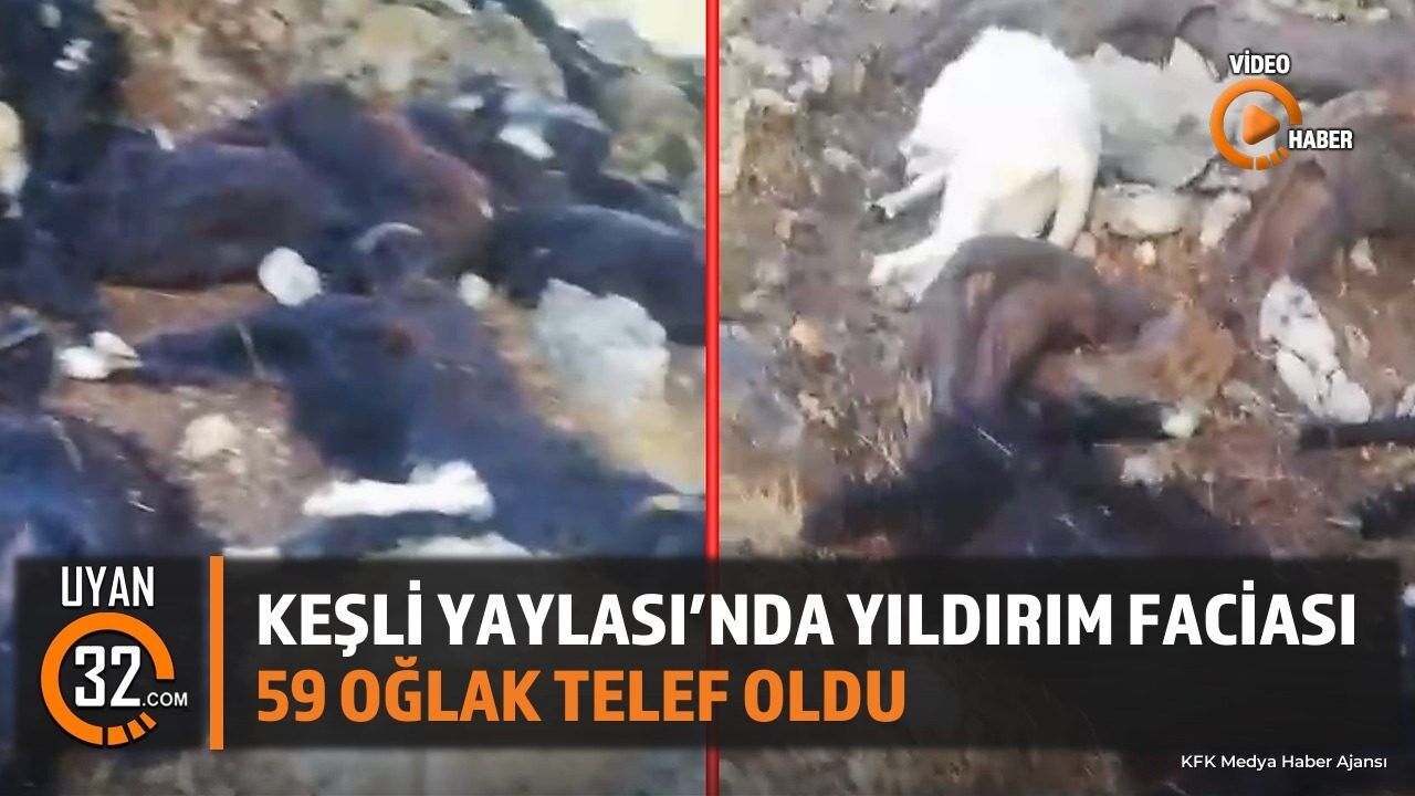 Eğirdir'de Yıldırım Düşmesi: 59 Oğlak Telef Oldu, Üreticiler Destek Bekliyor