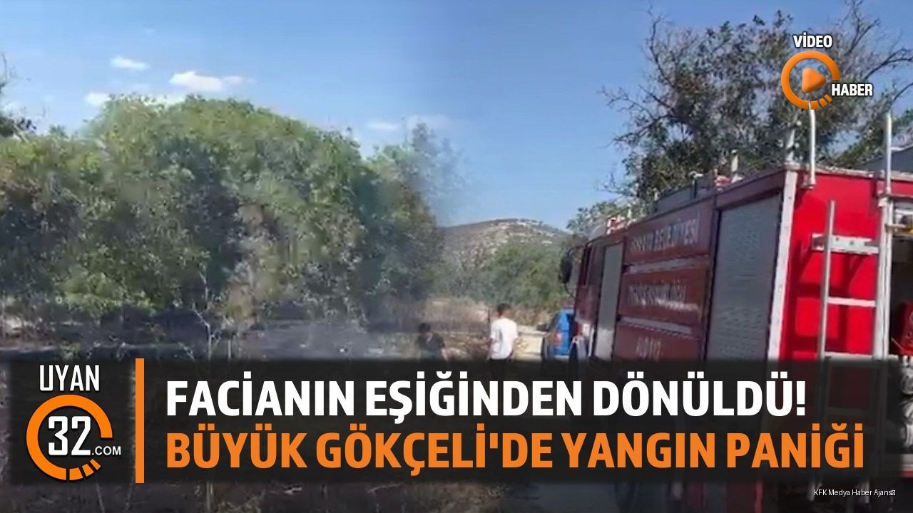 Facianın Eşiğinden Dönüldü! Büyük Gökçeli'de Yangın Paniği