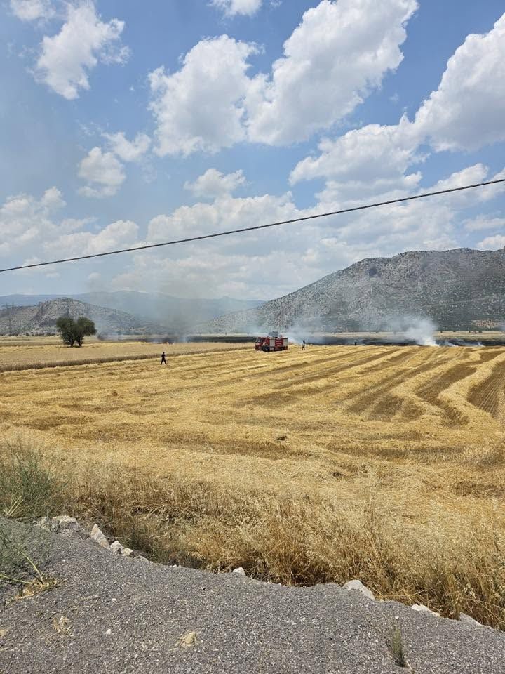 Hasat Sezonunda Korkutan Yangın! Başkan Peş Peşe Uyardı (1)
