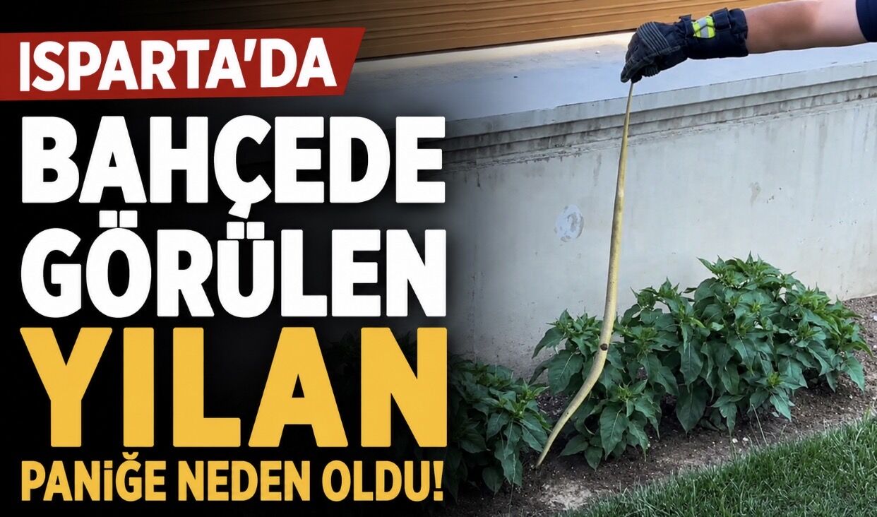 Isparta'da Evin Bahçesinde Görülen Yılan Paniğe Neden Oldu