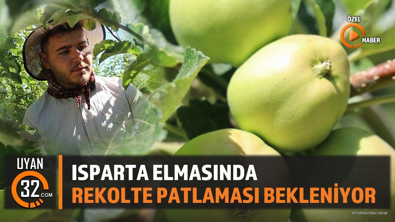 Isparta Elmasında Rekolte Patlaması Bekleniyor