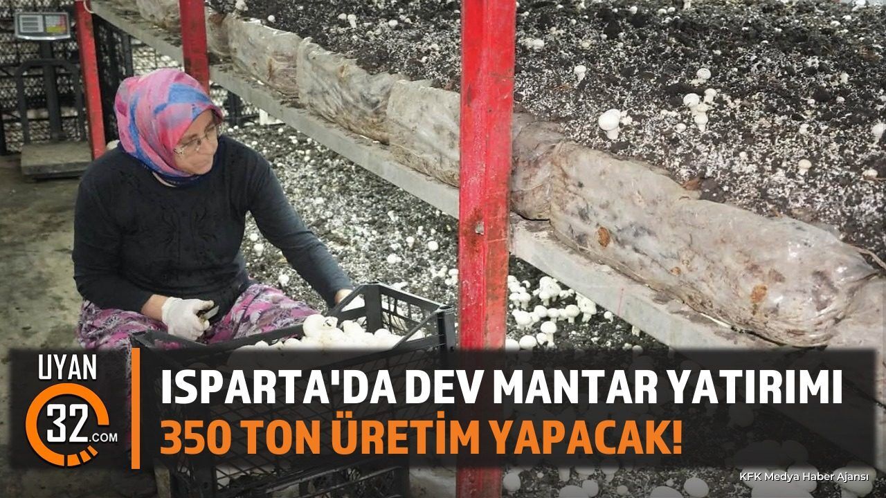 Isparta'da 19.8 Milyon Liralık Mantar Tesisi Üretime Başladı