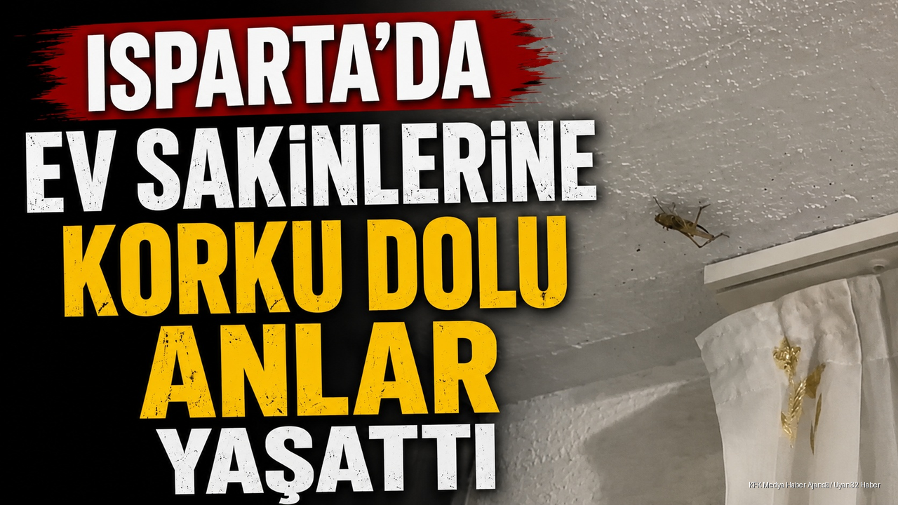 Isparta'da Evde Çekirge Panik Yarattı: O Anlar Kamerada