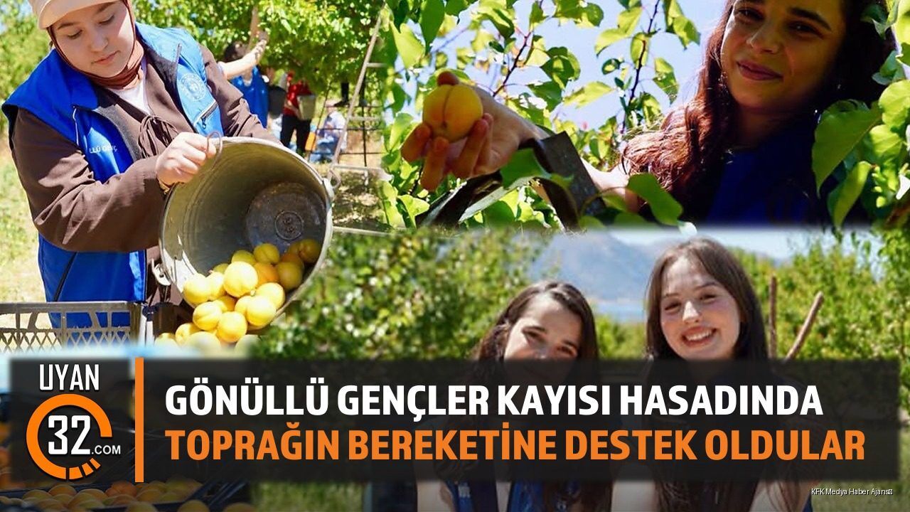 Isparta'da Gönüllü Gençler Kayısı Hasadında Üreticiye Destek Oldu