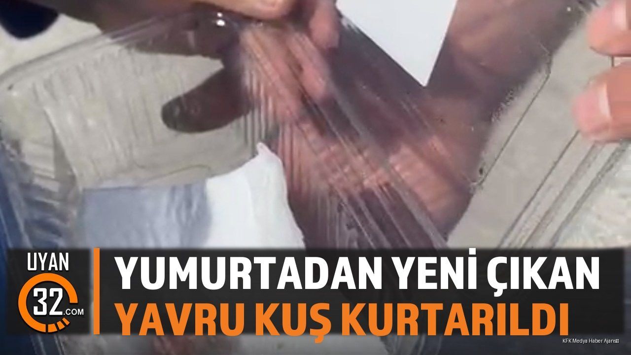İtfaiye Ekipleri Yavru Kuşu Kurtardı