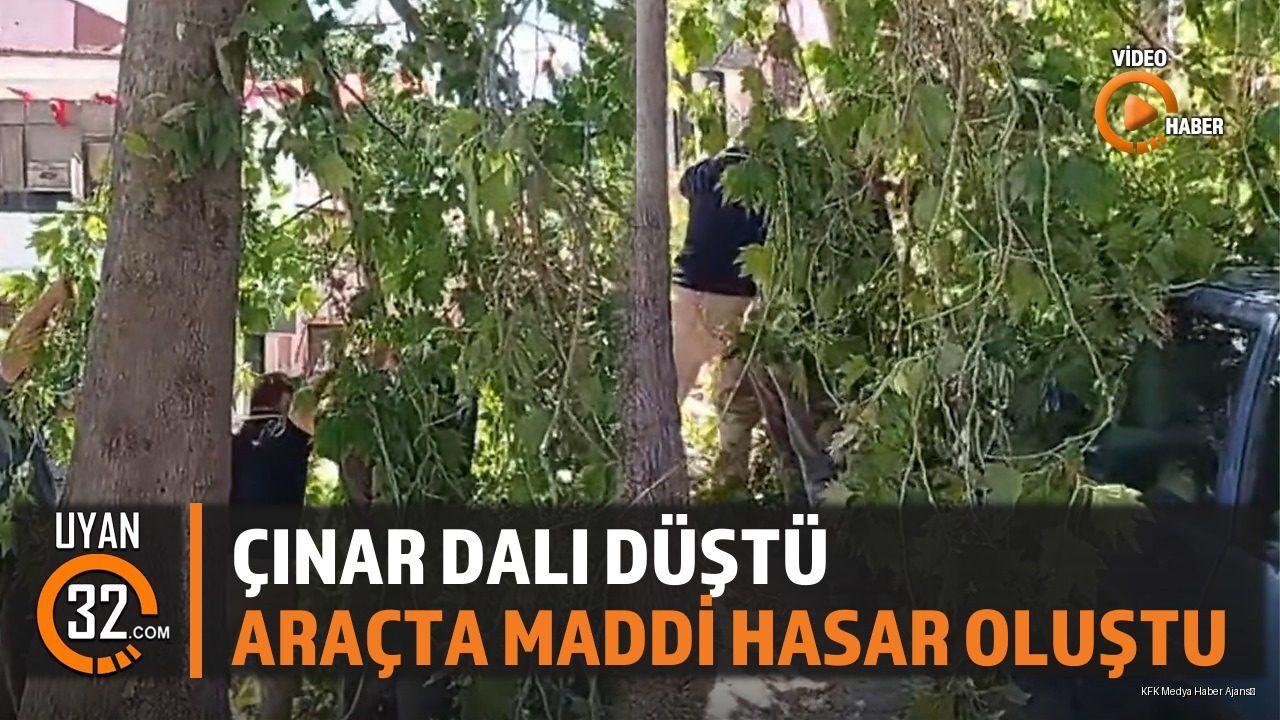 Şarkikaraağaç'ta Çınar Ağacının Dalı Koptu