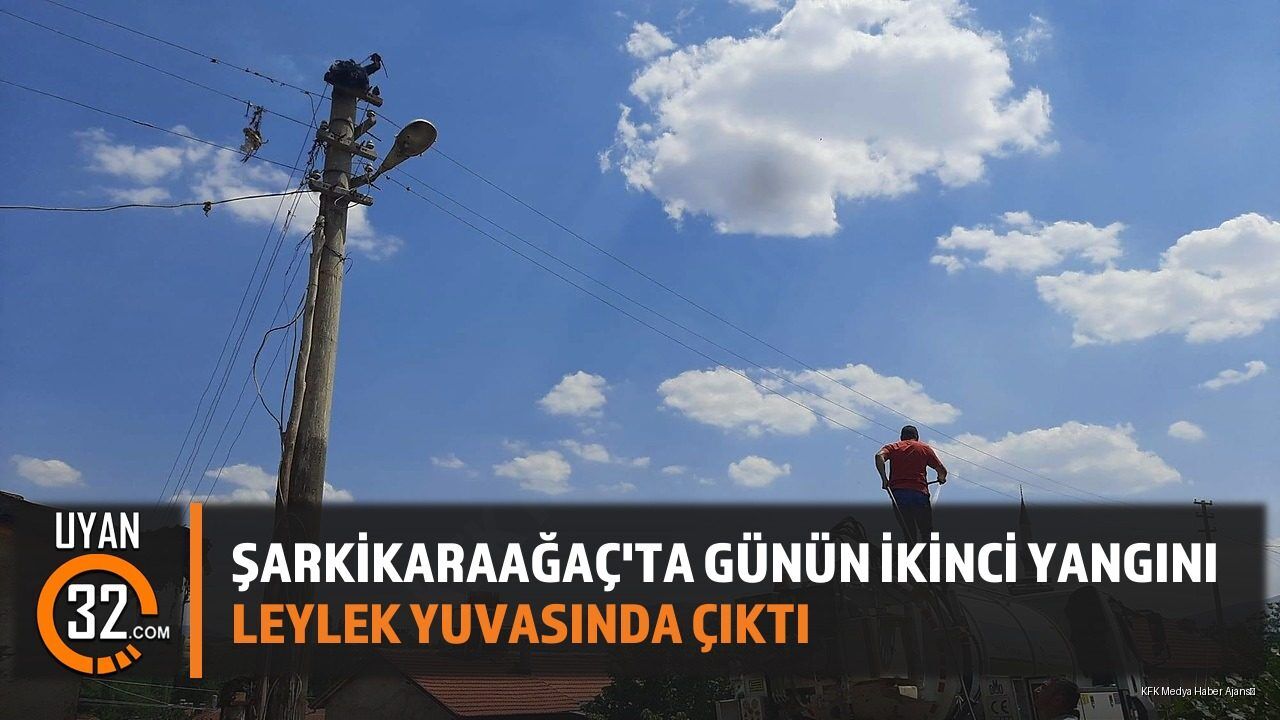 Şarkikaraağaç'ta Günün İkinci Yangını Leylek Yuvasında Çıktı