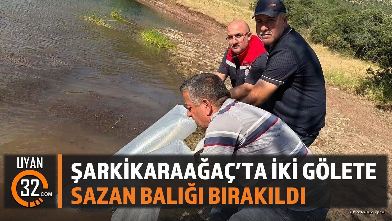 Şarkikaraağaç'ta Sazan Balığı Bırakıldı