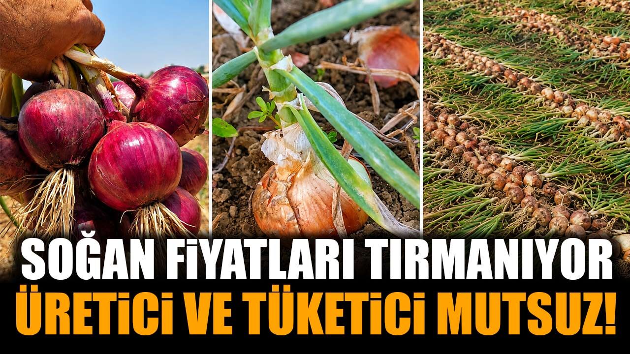 Soğan Fiyatları Neden Yükseldi? Mutfakların Vazgeçilmez Ürününde Yükselişin Perde Arkası