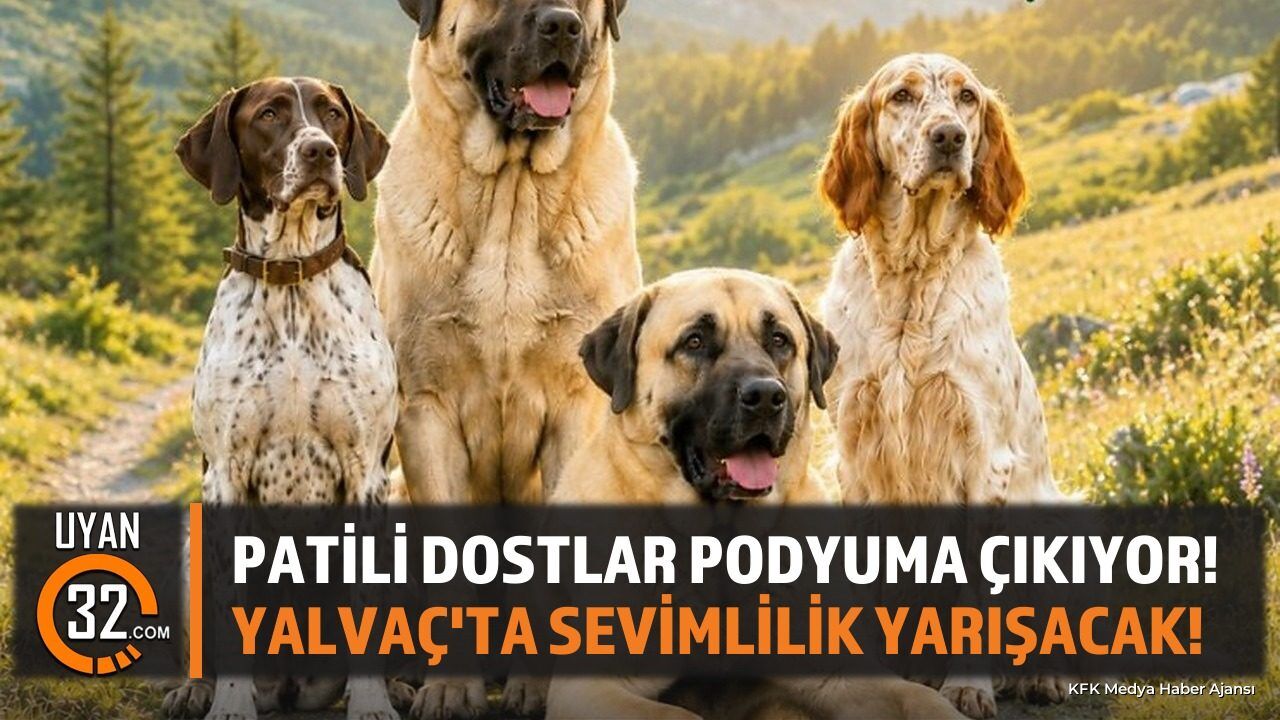 Yalvaç Köpek Güzellik Yarışması İçin Başvurular Başladı