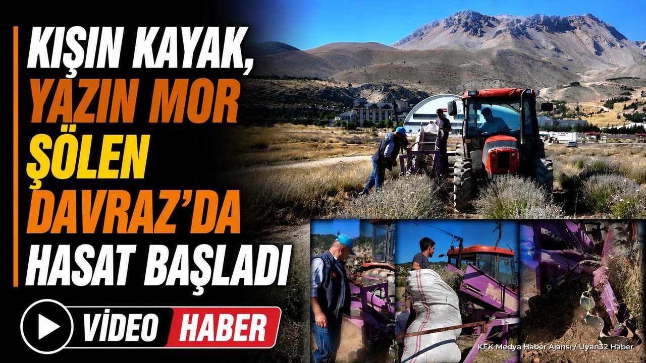 Davraz Kayak Merkezi'nde Mor Hasat Mesaisi Başladı