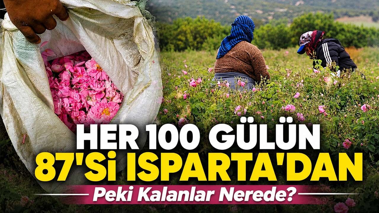 Her 100 Gülün 87’si Isparta’dan: Peki Kalanlar Nerede Üretiliyor?