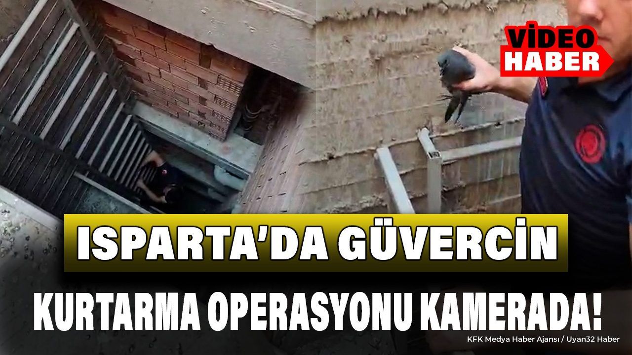 Isparta'da Havalandırma Boşluğuna Düşen Güvercin Kurtarıldı