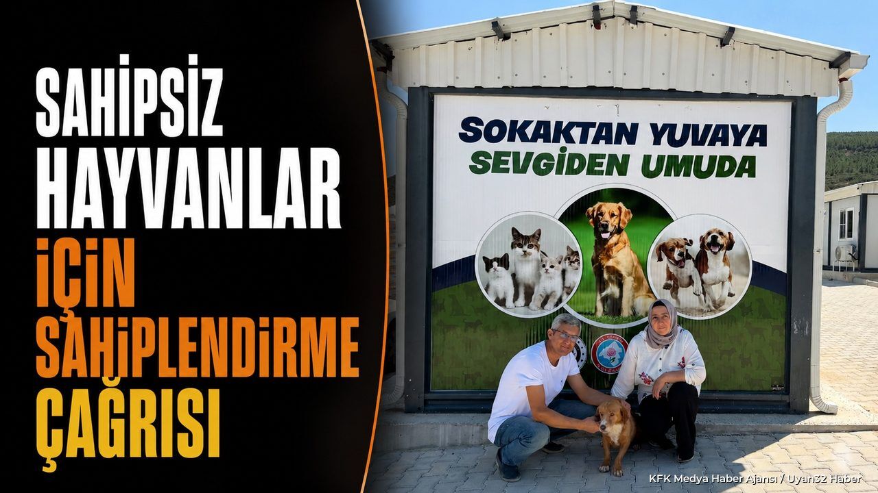 Isparta'da Sahipsiz Hayvanlar İçin Sahiplendirme Çağrısı Yapıldı
