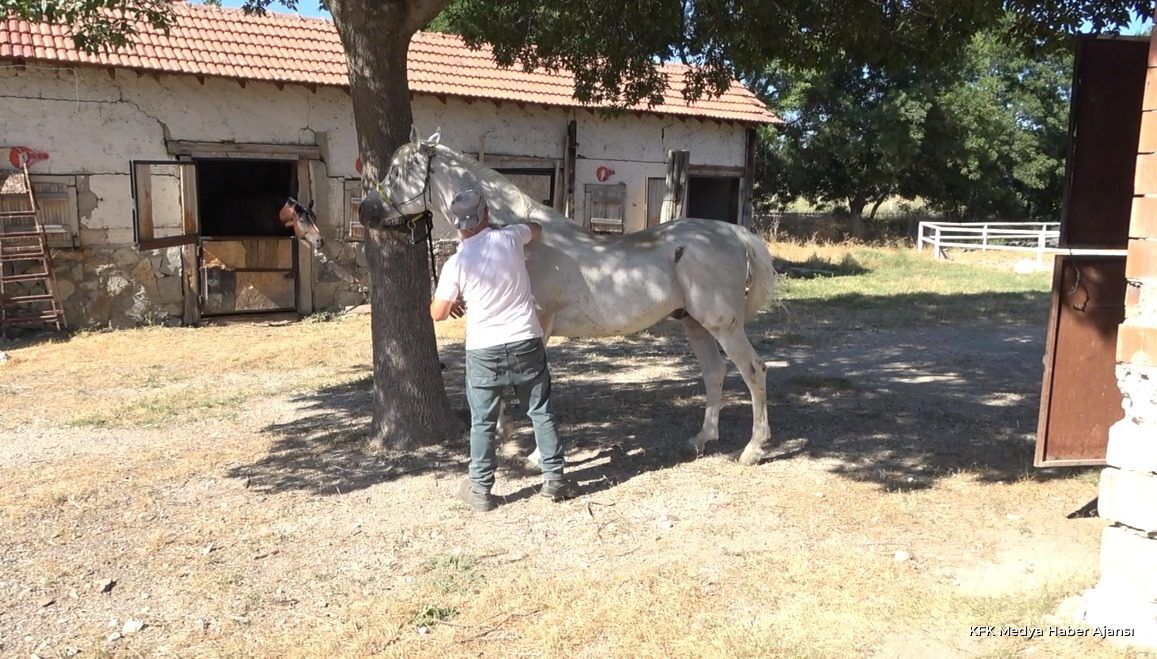 Nalbant Orhan Balci 5