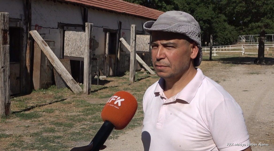 Nalbant Orhan Balci 6