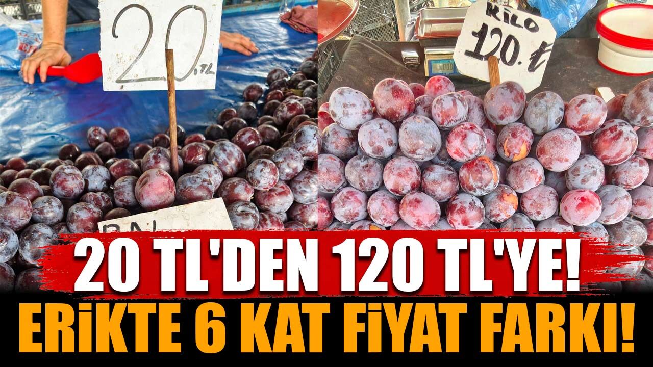 20 TL'lik erik 120 TL'ye satılıyor: Aradaki 6 katın sebebi belli oldu!