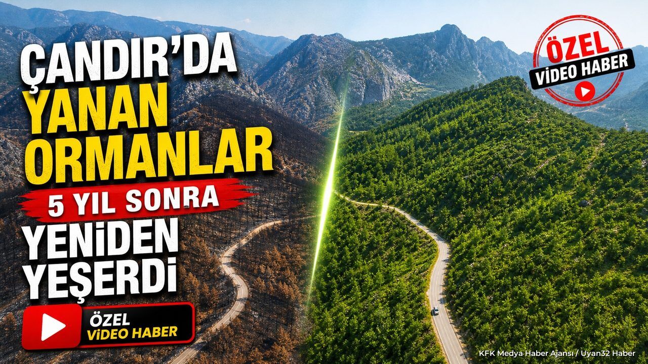 KÜLLERİNDEN YENİDEN DOĞAN ORMAN!