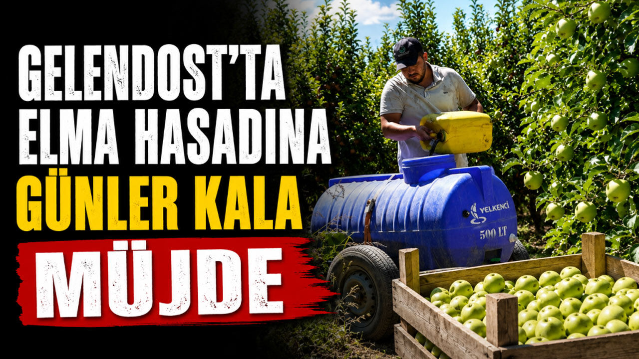 Gelendost'ta Elma Hasadına Günler Kala Müjde: Ağaç Başı Verim Rekor Seviyeye Ulaştı!