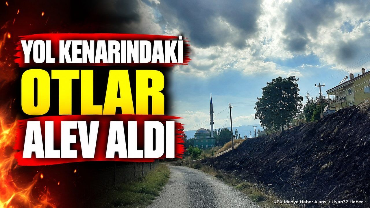 ÇARIKSARAYLAR'DA YOL KENARI ALEV ALDI!