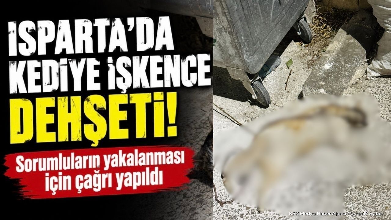 İPLE BAĞLAYIP ÇÖPE ATTILAR!