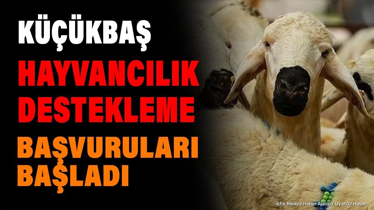 YETİŞTİRİCİLERE MÜJDE: BAŞVURULAR BAŞLADI!