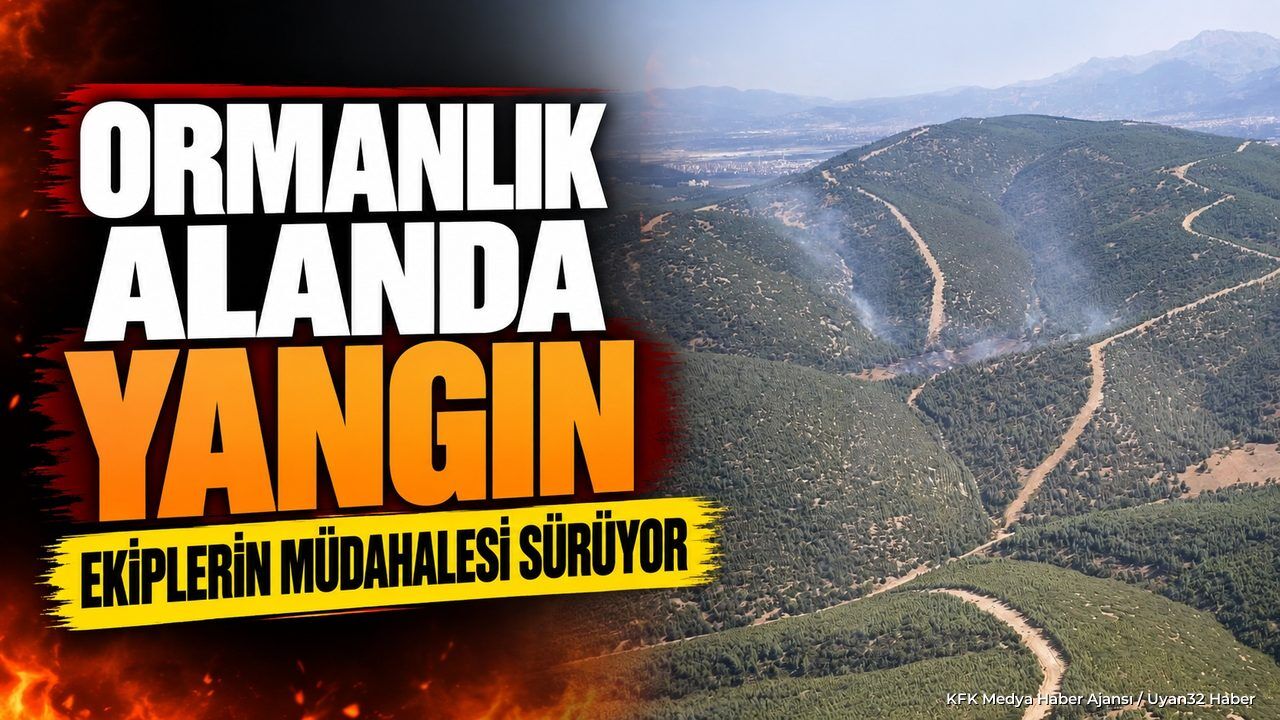 KOÇTEPE'DE KORKUTAN ORMAN YANGINI!
