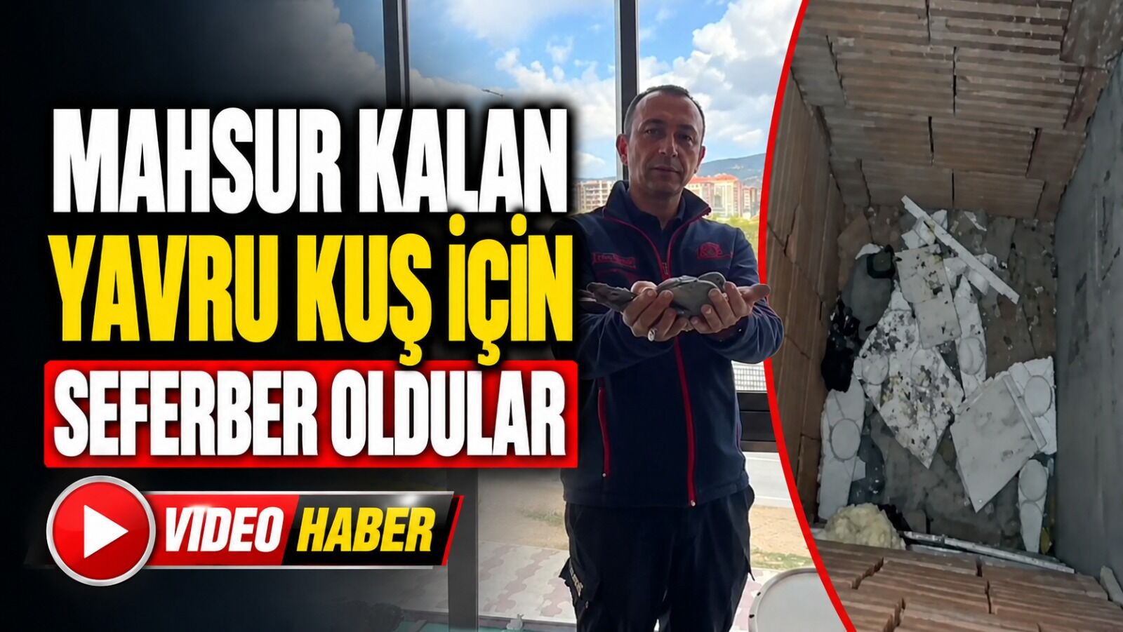 MAHSUR KUŞ İÇİN SEFERBERLİK