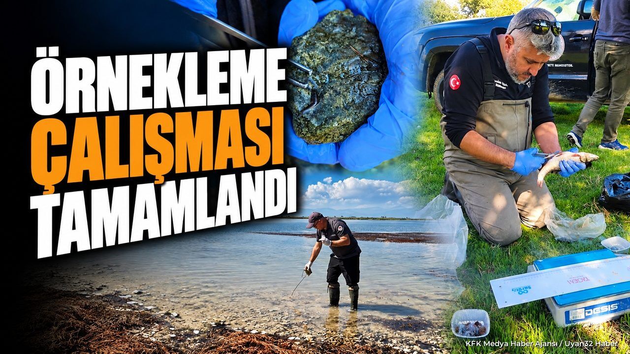 BİLİMSEL İZLEME PROJESİ