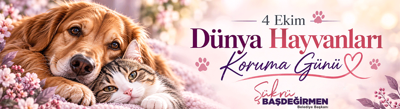 Giff Banner Ekim