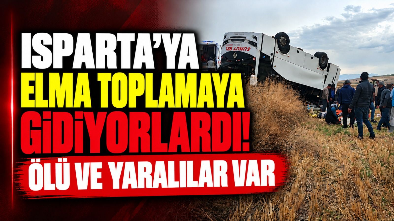 Tarım işçilerini taşıyan midibüs devrildi: Kazadan acı haber geldi!