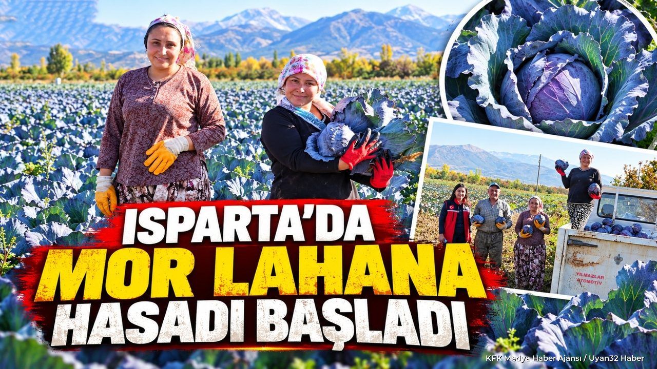 MOR LAHANADA HASAT ZAMANI