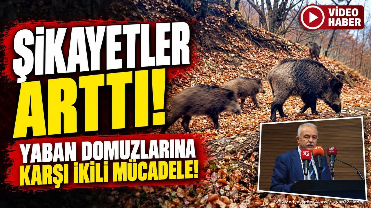 ISPARTA'DA DOMUZ ZARARINA SON!