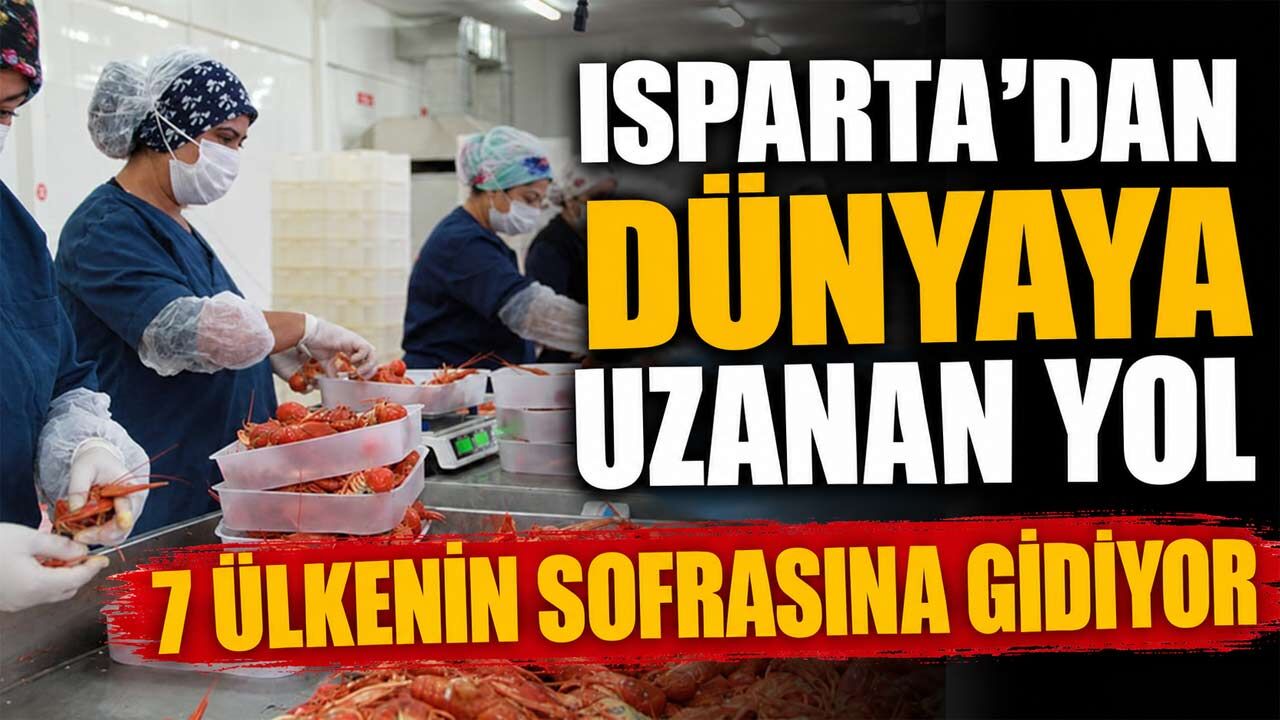 Isparta’da gölden dünyaya uzanan ticaret: 7 ülkeye gönderiliyor