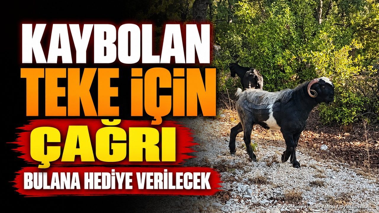 KAYIP TEKEYİ BULANA HEDİYE!