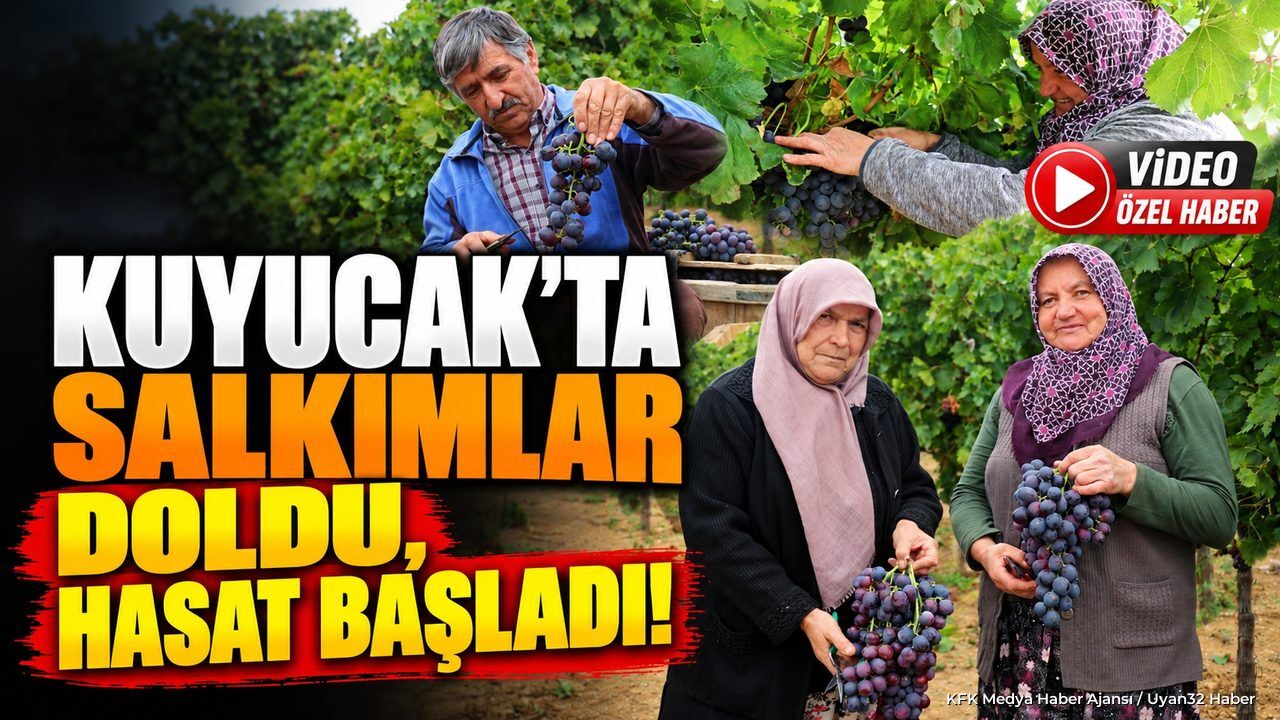 ISPARTA ÜZÜMÜNE DÜNYADAN YOĞUN TALEP