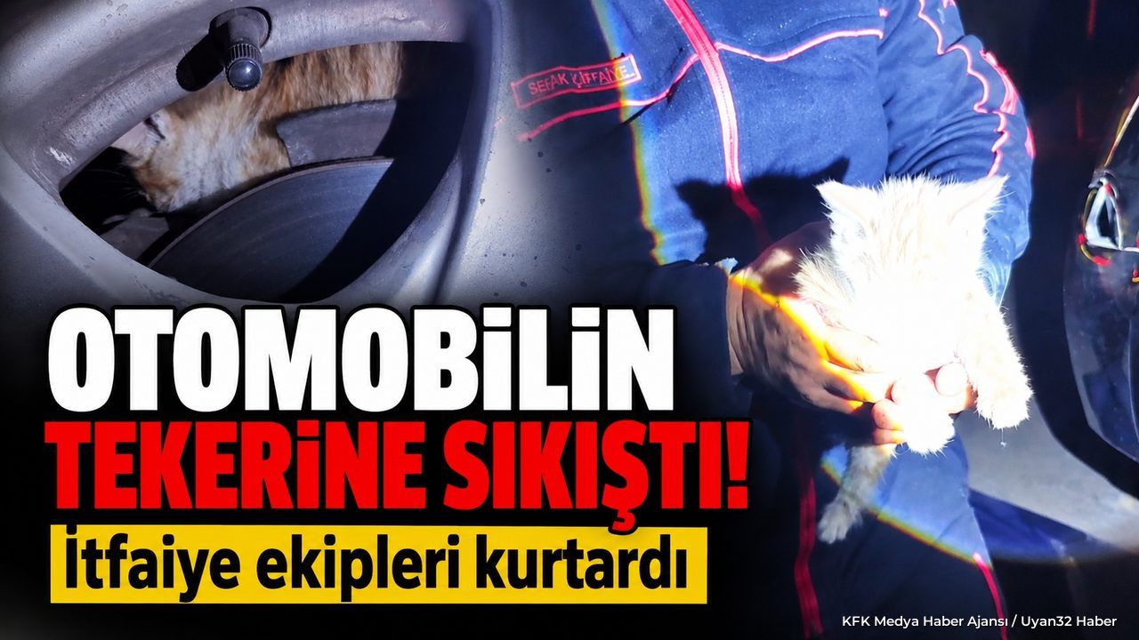 KEDİ KURTARILDI
