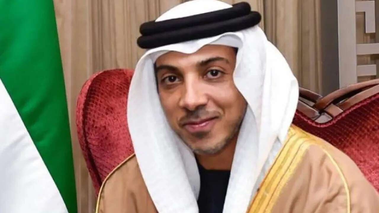 Seyh Mansur Bin Zayed Al Nahyan