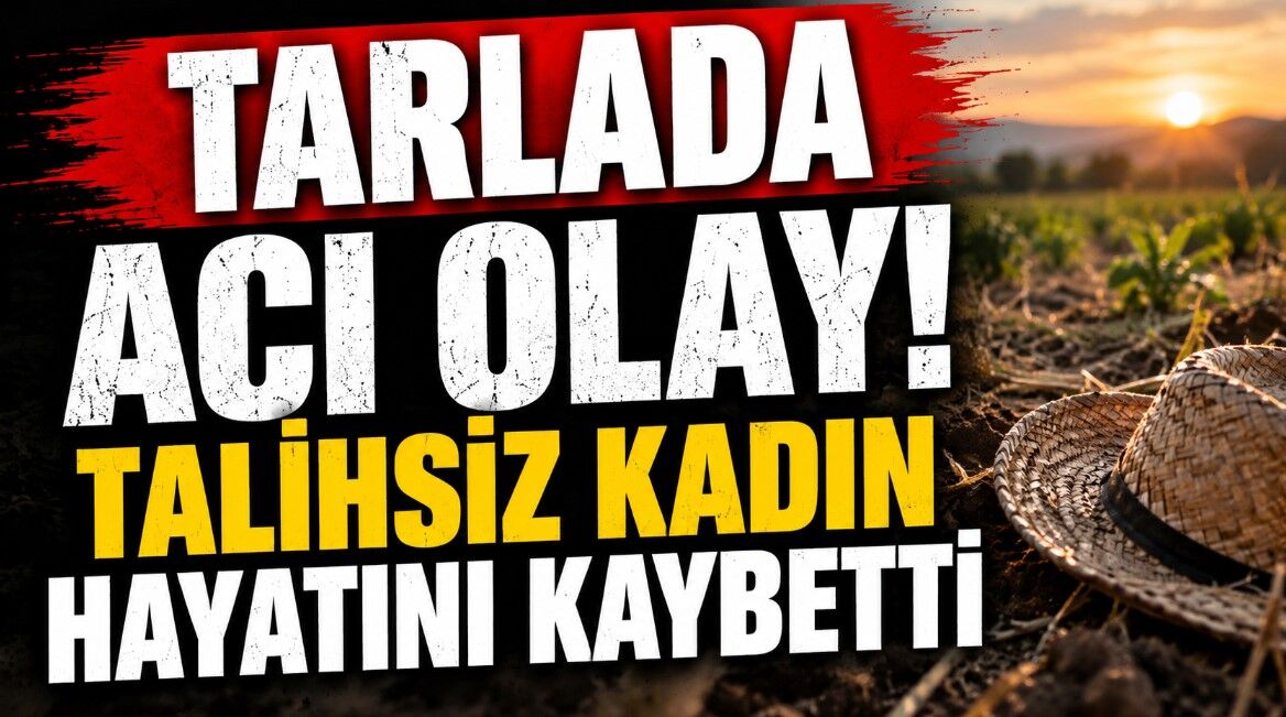 Tarlada Acı Olay! Talihsiz Kadın Hayatını Kaybetti