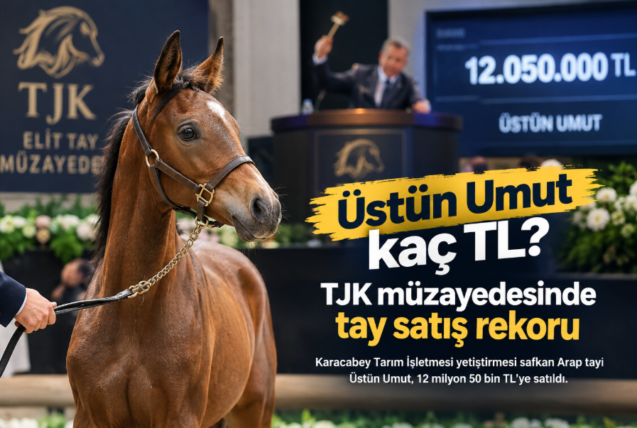 Üstün Umut kaç TL? TJK müzayedesinde tay satış rekoru