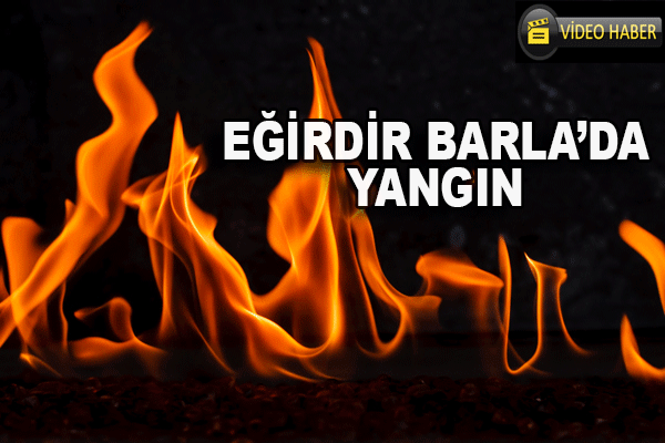 Eğirdir Barla'da Korkutan Yangın